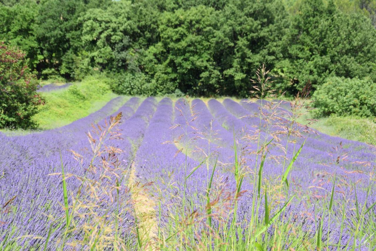 Gite Les Tilleuls Villa Saint-Montan Bagian luar foto